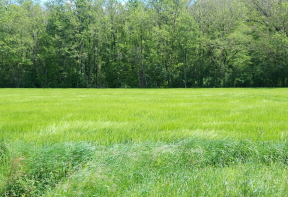 Environnement de PA Marques