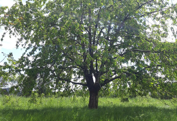 Environnement de PA Marques